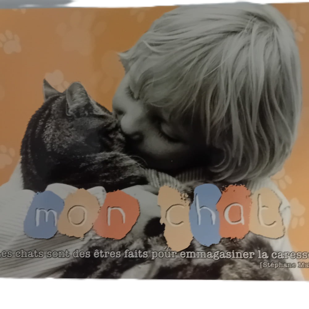 Carte postale citation Mon chat