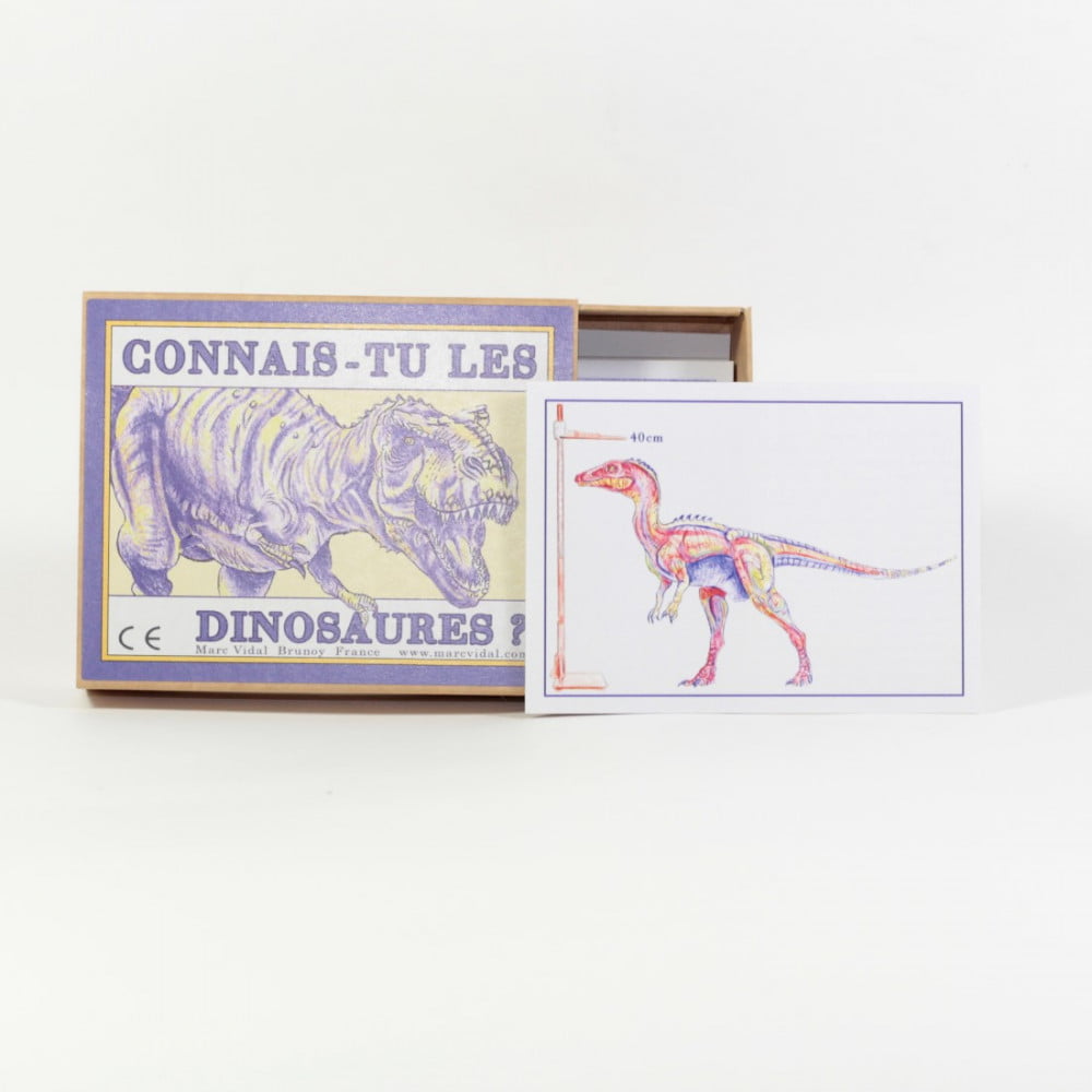 Connais tu les dinosaures ?