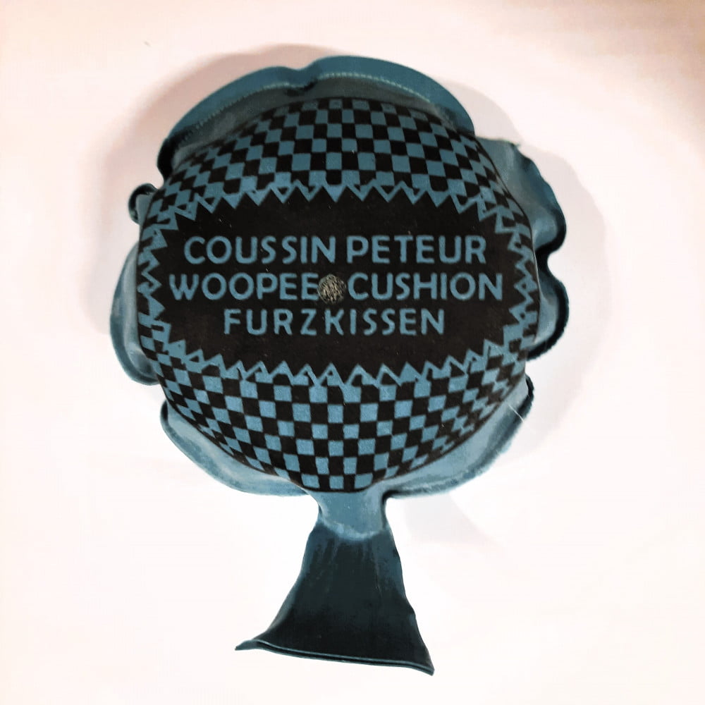 Coussin péteur bleu