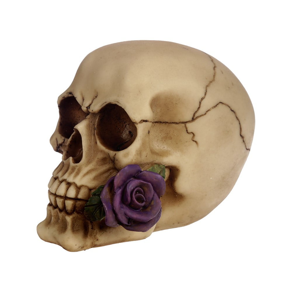 Crâne décoration rose violette dans la bouche