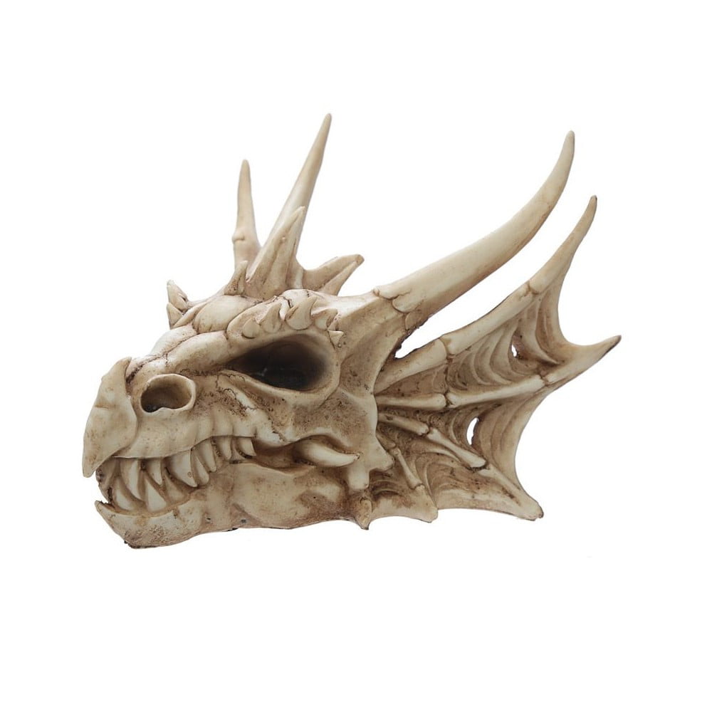 Crâne Dragon Déco