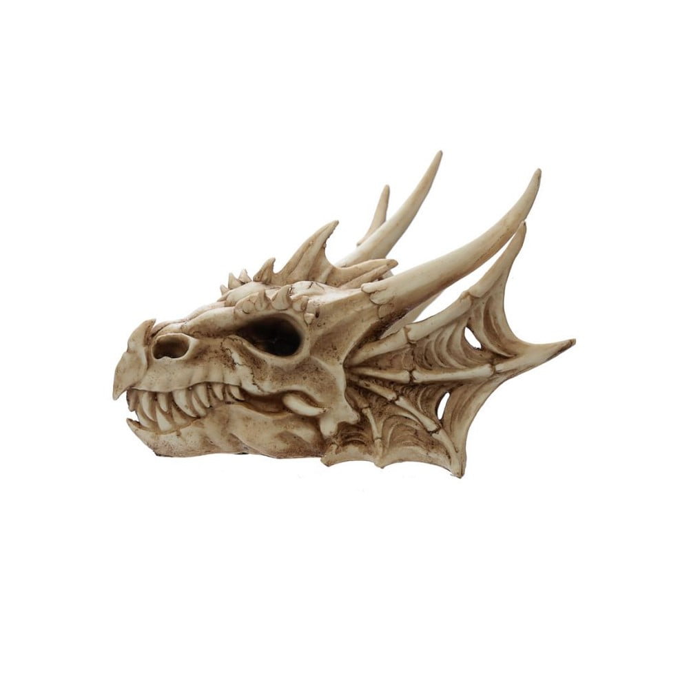 Crâne Dragon Déco