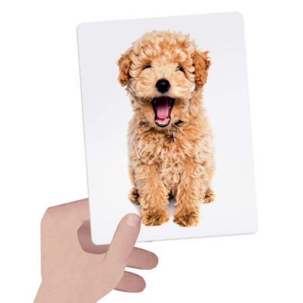 Flashcards Tactile Montessori âge 1 à 4 ans