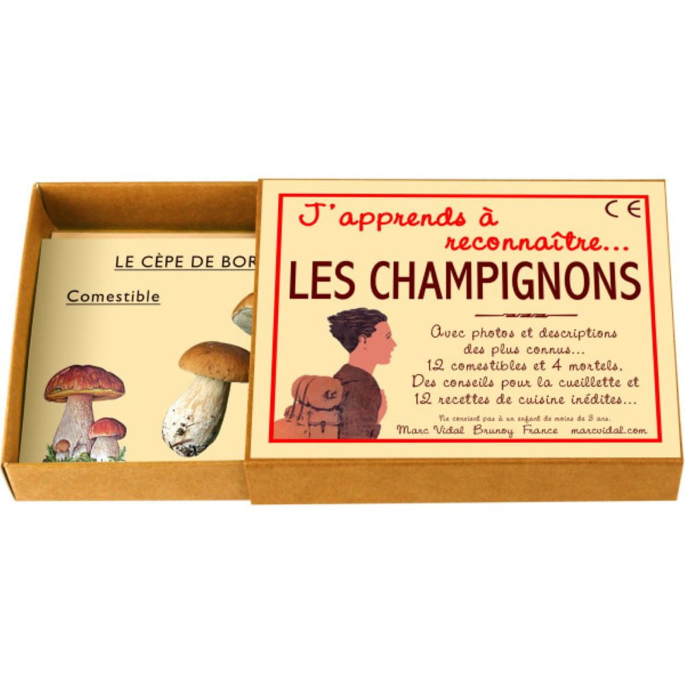 J'apprends à reconnaître les champignons