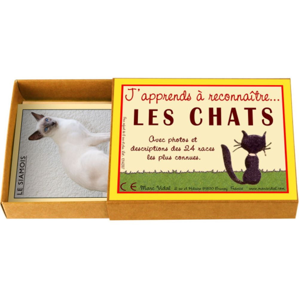 J'apprends à reconnaitre les chats