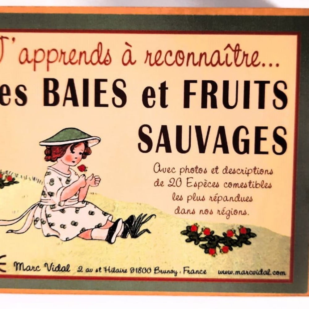 J'apprends les baies et fruits sauvages