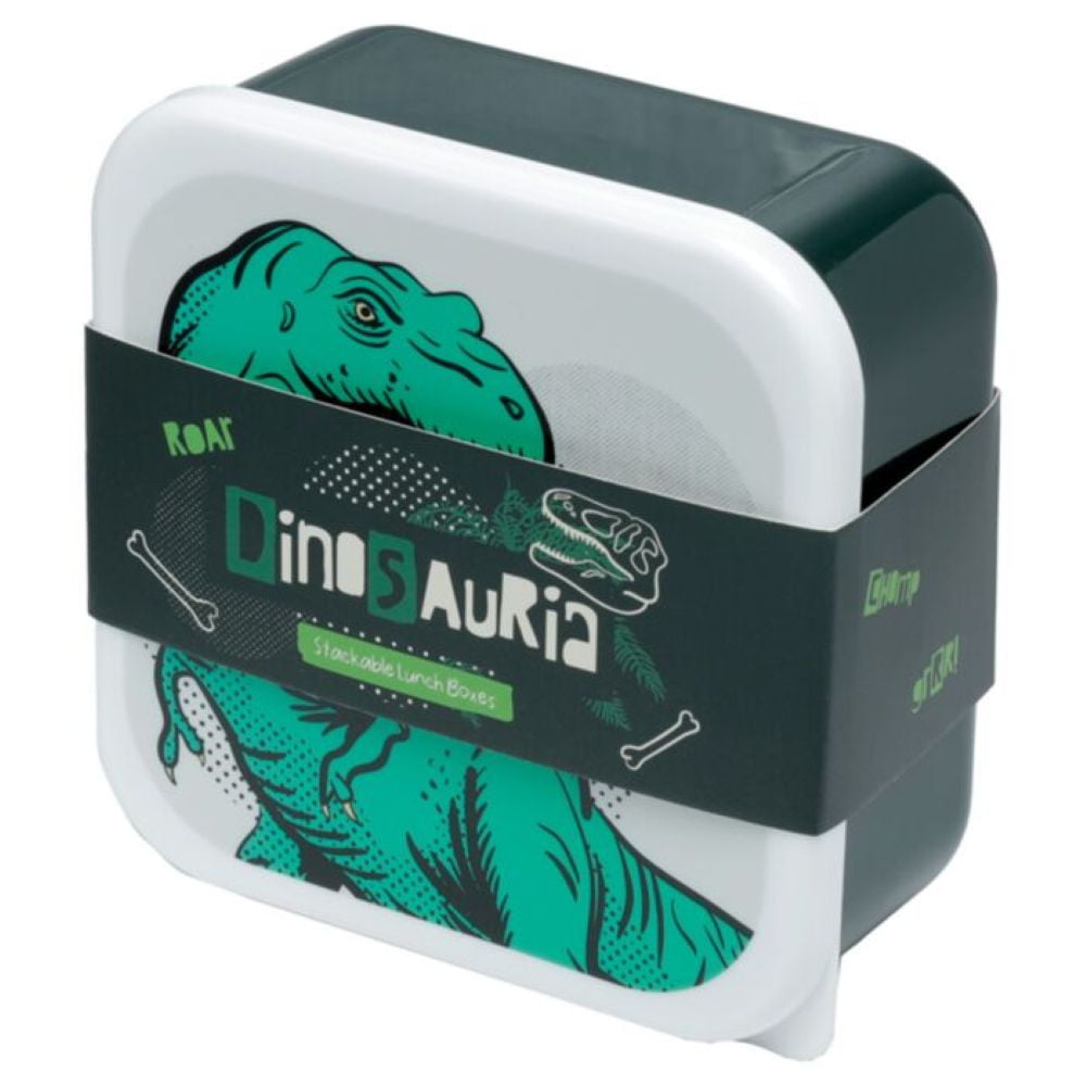 Lot de 3 boîtes repas Dinosaures