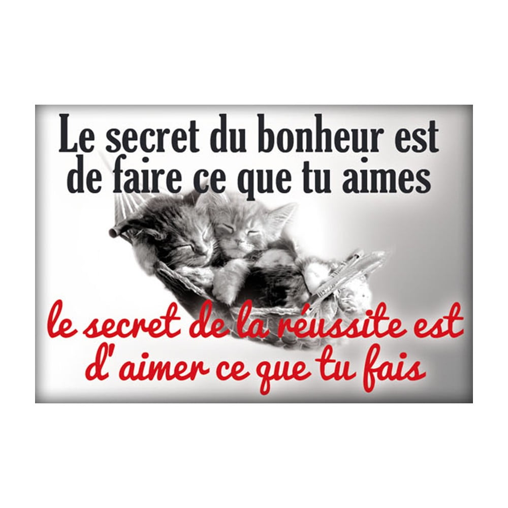 Magnet message Secret du bonheur