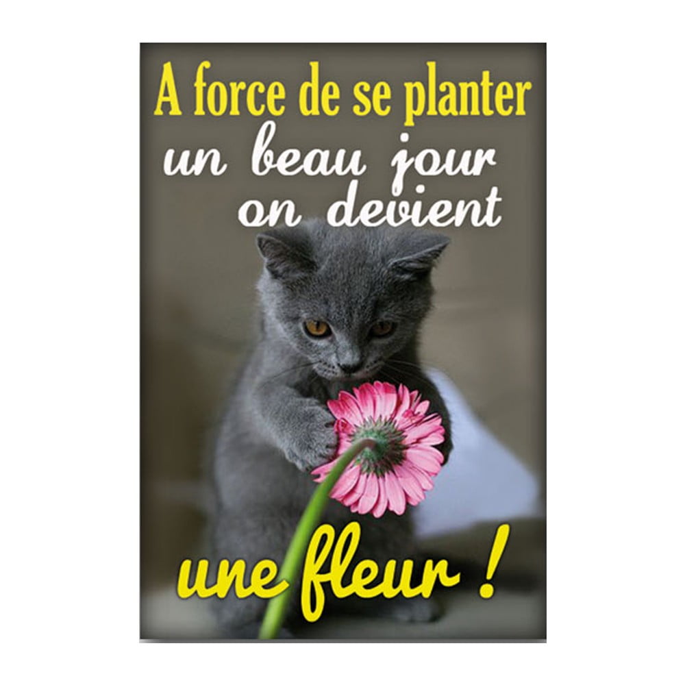 Magnet message Une fleur