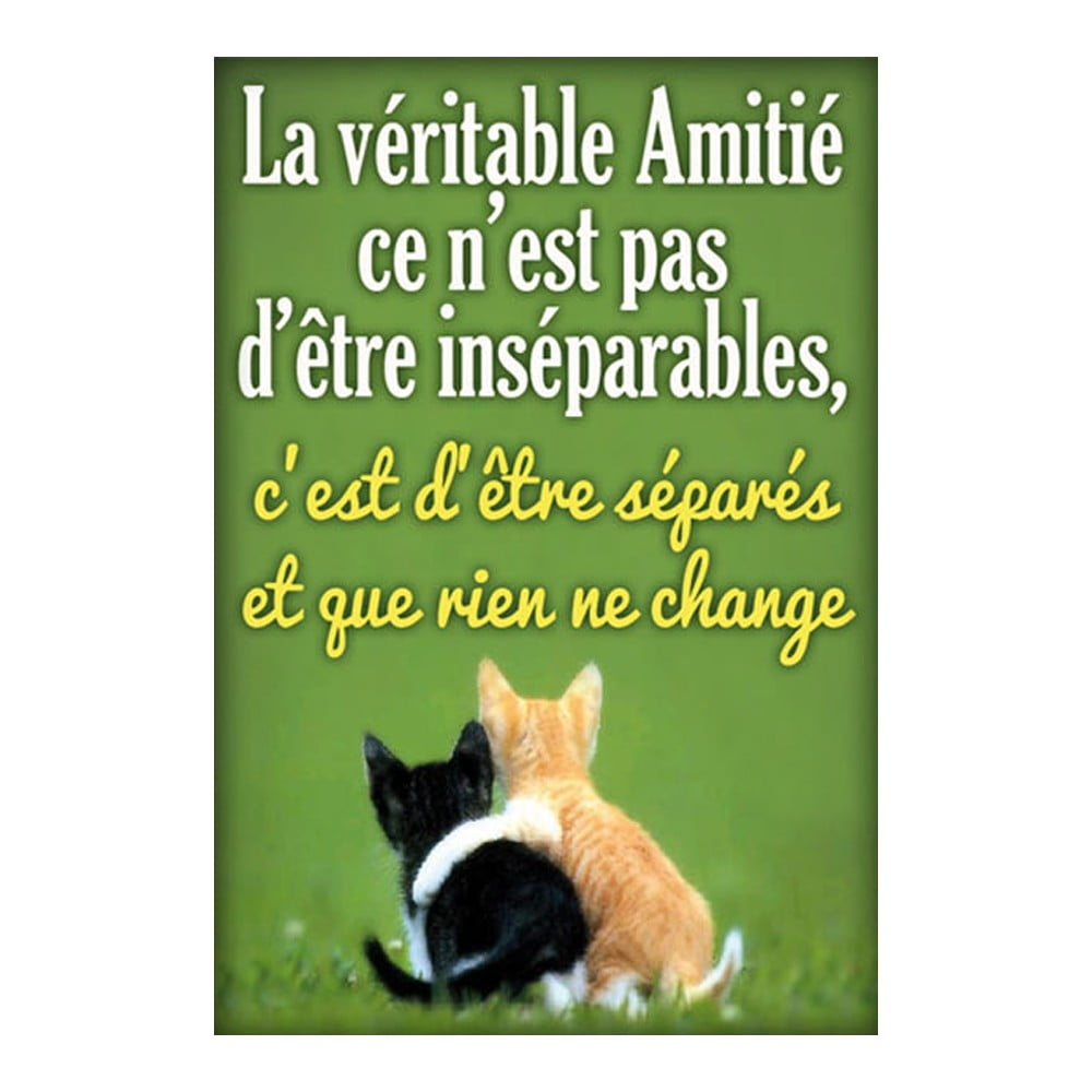 Magnet message Véritable amitié