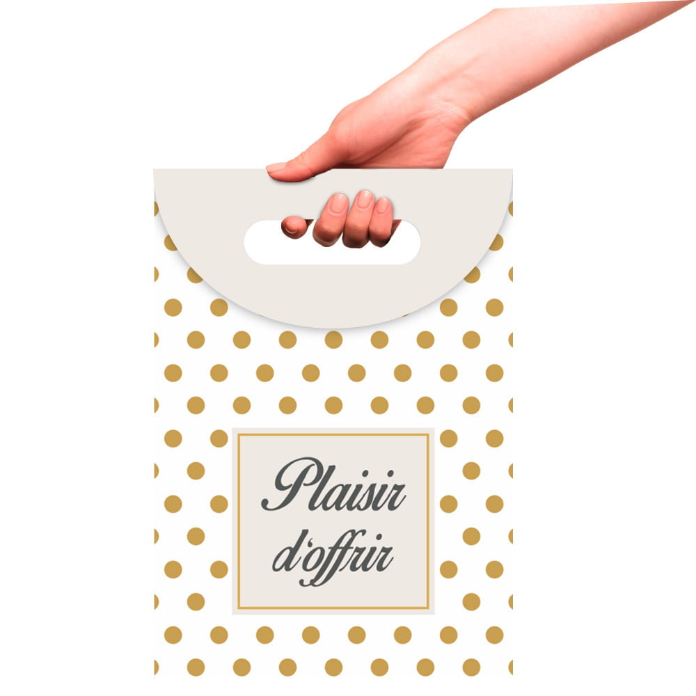 Pochette cadeau Plaisir d'offrir Grande