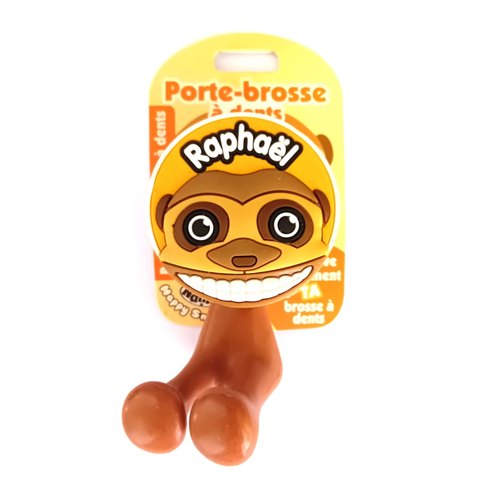 Porte brosse à dents Prénom Raphaël