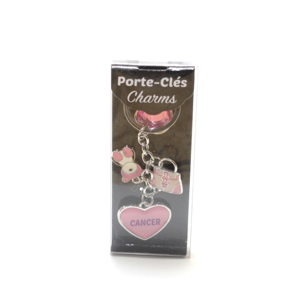 Porte Clés Charms Signe Astrologique Cancer