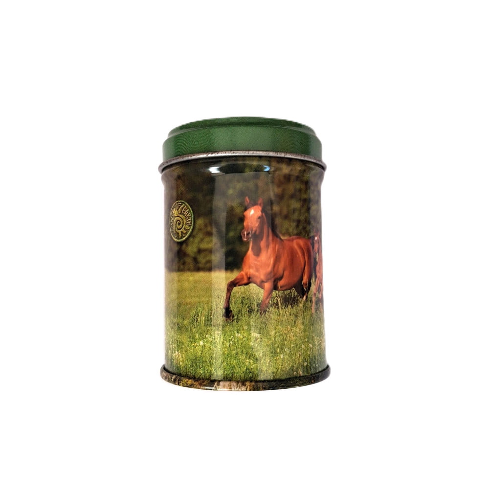 Porte-clés cheval en boite métal