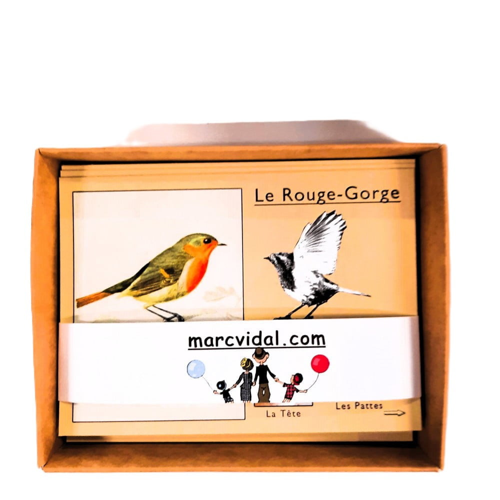 Quel est donc cet oiseau